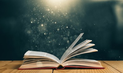 国产斯泰拉纺车轮和阿布哪个好