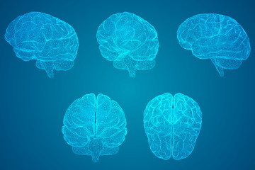 三伏天养生小知识