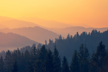 今年高新大吉村拆迁不