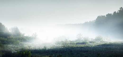 国产斯泰拉纺车轮和阿布哪个好