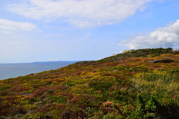 捷安特XTC790和XTC880有什么区别