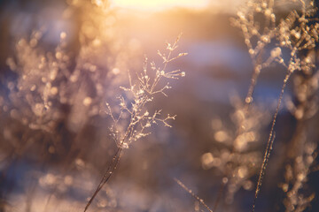 父亲的车能过户给儿子吗