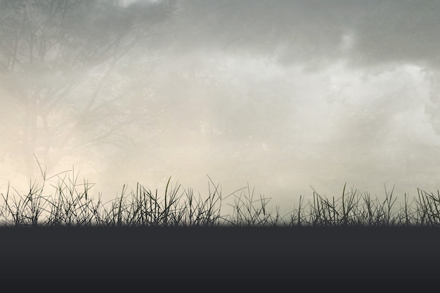 青岛属于南方还是北方？