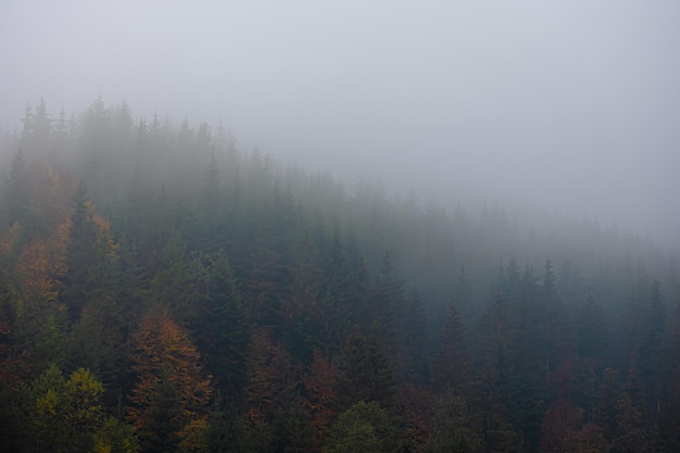 父亲的车能过户给儿子吗