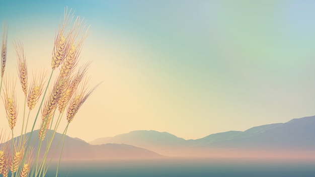 早安心语：发朋友圈的清晨短句