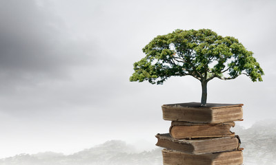 一个小土坡的标志