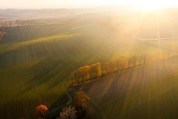 青岛属于南方还是北方？