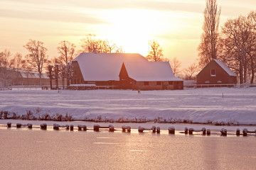 国产斯泰拉纺车轮和阿布哪个好