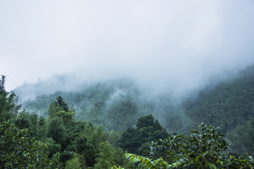 三伏天养生小知识
